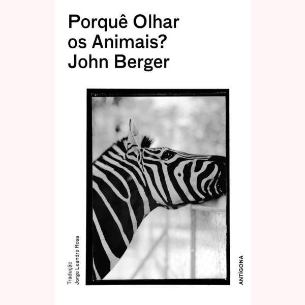 PORQUÊ OLHAR OS ANIMAIS?