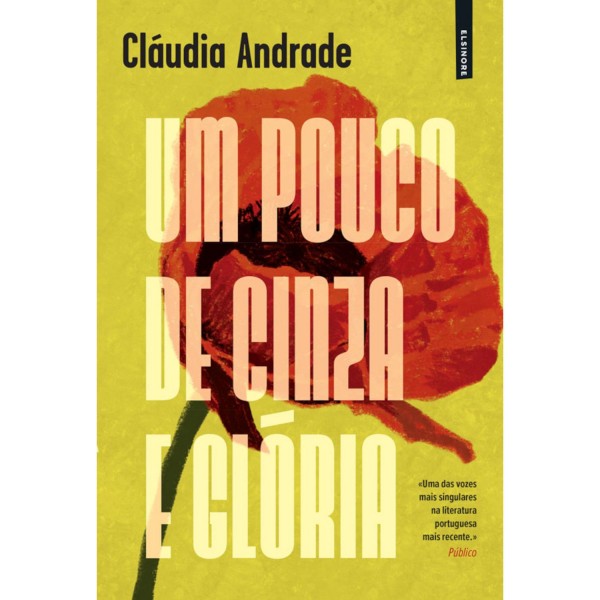 UM POUCO DE CINZA E GLÓRIA