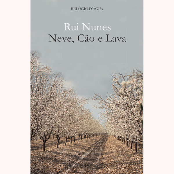 NEVE, CÃO E LAVA