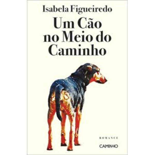 UM CÃO NO MEIO DO CAMINHO